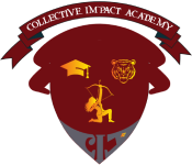 collectiveimpactacademy.com